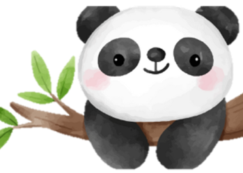 Panda Icon